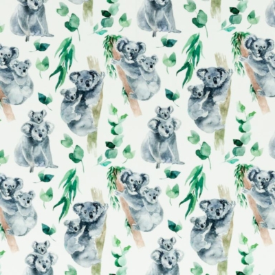 Jersey | Nora | Koala | Eukalyptus weiß